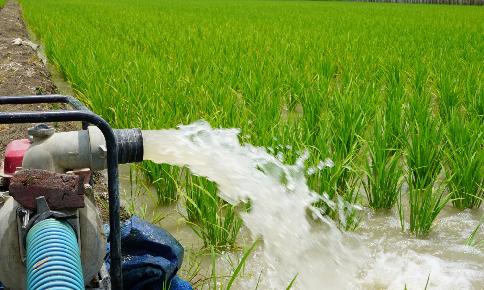 pompa air sawah banyuwangi