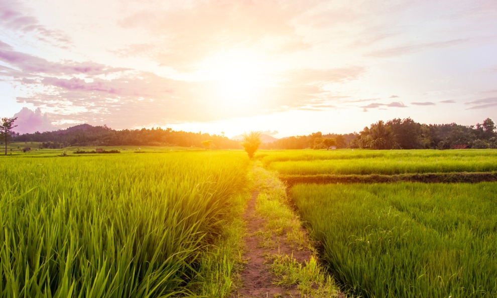 pompa air sawah blitar