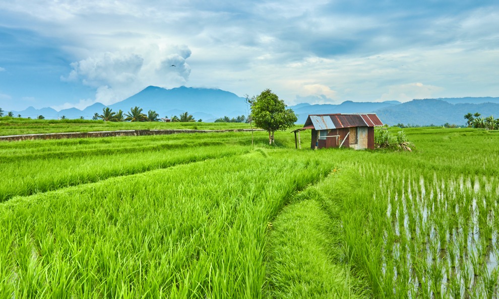 jual pompa air sawah lumajang